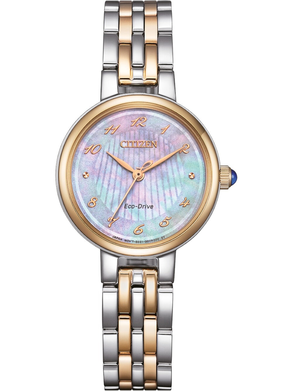 Citizen Horloge EM0996-84Y