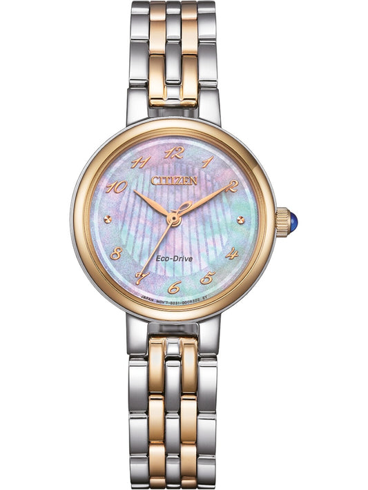 Citizen Horloge EM0996-84Y